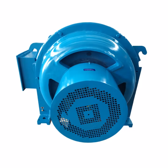 10000V Jr Serie 475kw Velocidad 738r/Min Motor