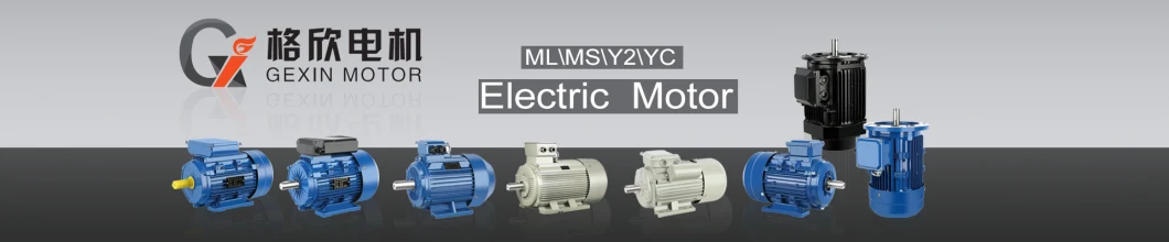 Yc/Ycl Series Single Phase Capacitors Asynchronous Motor 220V Dual-Value Electrical Motor