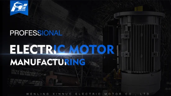 Motor de inducción trifásico serie Ie2 Ys (AO2)